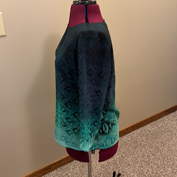 🖤The Limited🖤 Ombré, snake print blouse, size L - Picture 3 of 10